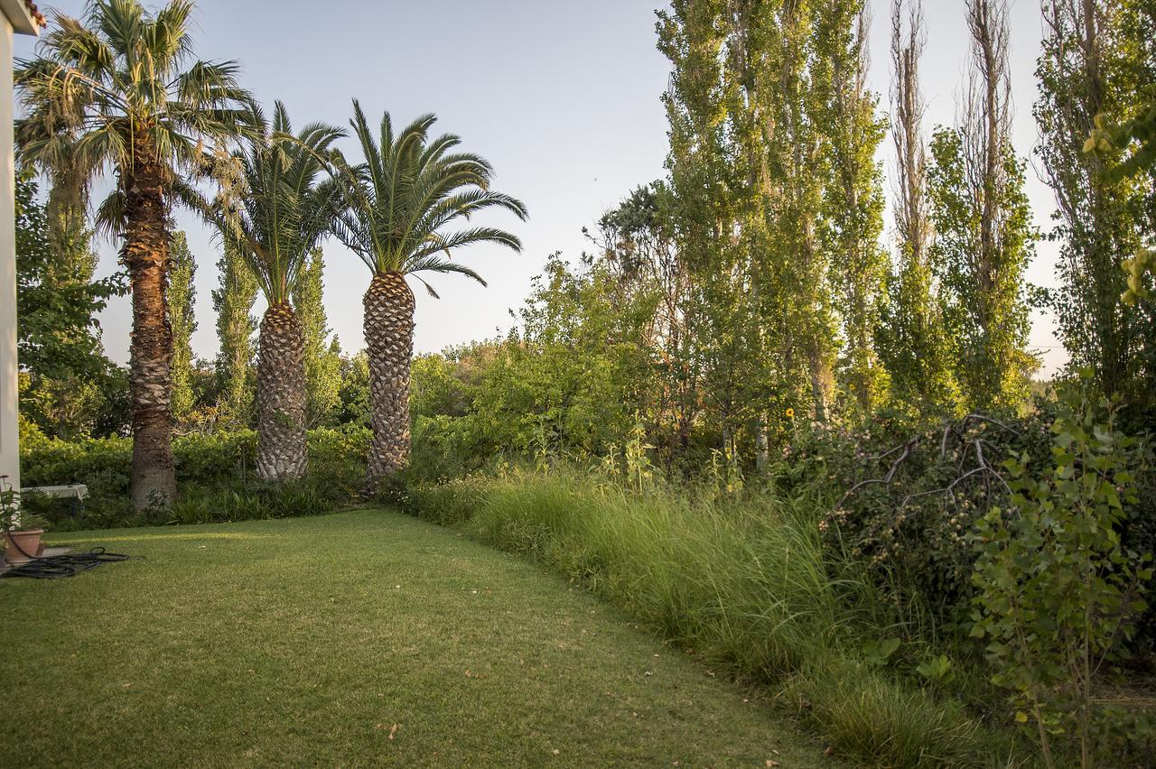 Eressos Ilios Apartments Skala Eresou Bagian luar foto